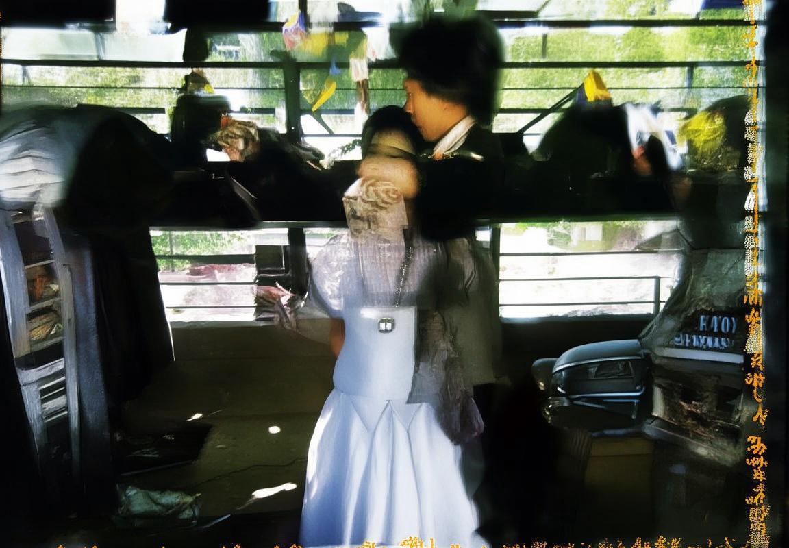 风暴与飞马的哲学对决：力量与智慧的较量